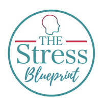 The Stress Blueprint logo - Similar company to Bexa Equity Alliance