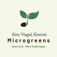 Siru Vagai Keerai - Microgreens logo - Similar company to Triumph Wealth Management