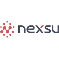 Nexsu logo - Similar company to Nexsus Group