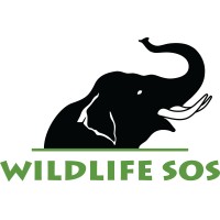 Wildlife SOS logo - Similar company to Wwf-India