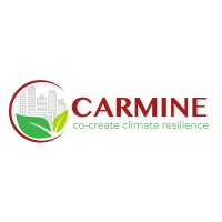 CARMINE Project logo - Similar company to Csr Bootiq