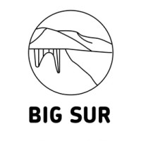 Big Sur Holdings logo - Similar company to Sur Technology Holdings