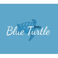 Blue Turtle Group Ltd logo - Similar company to Creating Enterprise