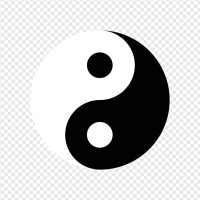 Yin&Yang Salon logo - Similar company to Shobha Kraft