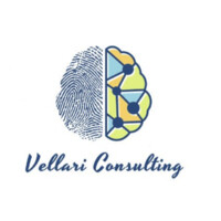 Vellari Consulting logo - Similar company to Velaris