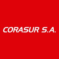 Corasur logo - Similar company to Diminds Consulting