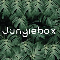 Junglebox logo - Similar company to Nurv