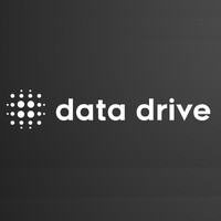 Data Drive logo - Similar company to Linguist Llc