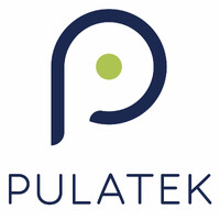 PulaTek (Pty) Ltd logo - Similar company to Diaspora Infrastructure Development Group