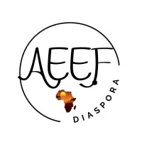 African Engineering Education Fellows in Diaspora logo - Similar company to Engineering Education Transformations Institute