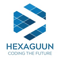 Hexaguun logo - Similar company to Elinfo Training