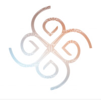 Velvet Frame logo - Similar company to Capitol Consulting Llc