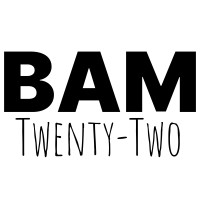 BAM Twenty-Two logo - Similar company to Vive Virtual