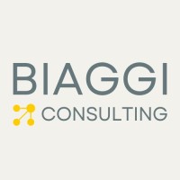 Biaggi Consulting logo - Similar company to Pelicanpay