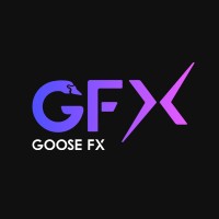 GooseFX logo - Similar company to Finxcoin