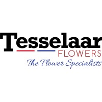 Tesselaar Flowers logo - Similar company to Interflora Australia