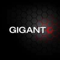 GIGANT GmbH logo - Similar company to Ecr Solutions Servicegesellschaft Mbh