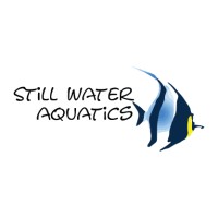 Still Water Aquatics (ADA India) logo - Similar company to Still Water Aquatics