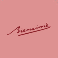 Bienaimé logo - Similar company to Exfinconsulting