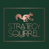 Strategy Squirrel logo - Similar company to Greystone.Net