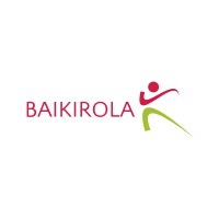 BAIKIROLA logo - Similar company to Fdv Online Solutions