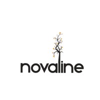 Novaline Limited logo - Similar company to Vasion