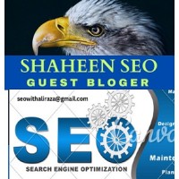 SHAHEEN SEO
