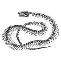The Rattlesnake Foundation logo - Similar company to Finer Things