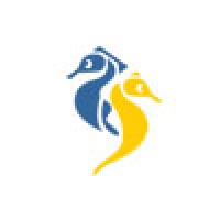 ParagonMeds logo - Similar company to Pinnacle Pharma Rx