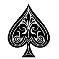 Pijken Aas VOF logo - Similar company to Davo Group