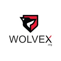 Wolvex logo - Similar company to Wolvex Media