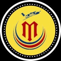 Travel With Mayank logo - Similar company to Holidays Navigator