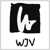 Wesley Jiao Ventures logo - Similar company to Fnc Strategy