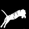 MARS infoedge (India) Pvt Ltd logo - Similar company to Alphinity Infoedge