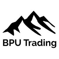 BPU Trading logo - Similar company to Sowilo Conseils