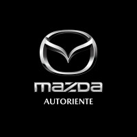 Autoriente logo - Similar company to Auto Oriente