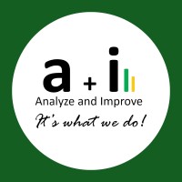 Analyze and Improve Inc. logo - Similar company to Ebase Solutions