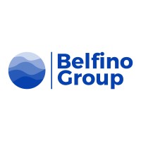 Belfino Group LLC logo - Similar company to Delfino