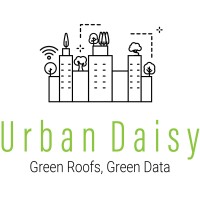 Urban Daisy logo - Similar company to Webintelligency
