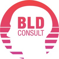 BLD Consult logo - Similar company to Intelligence For Action