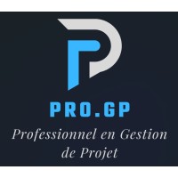 Professionnel en Gestion de Projet logo - Similar company to Sarl Mapping