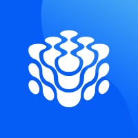 Agência Sinnapse logo - Similar company to Lice Digital