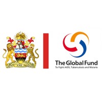 Malawi Global Fund Coordinating Committee logo - Similar company to Her Becoming