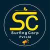 Surfing Corp Private Limited logo - Similar company to The Digital Solution Services