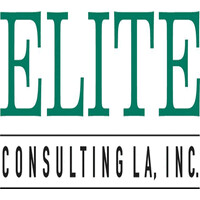 Elite Consulting LA, Inc. logo - Similar company to Blaze It