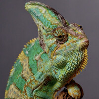 RoWnIT Company logo - Similar company to Imbema