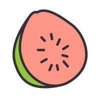 Guavas Finance logo - Similar company to Bo-Smart