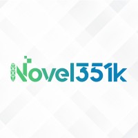 Novel351k logo - Similar company to Som Aesthetics