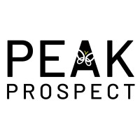 Peak Prospect logo - Similar company to Lion Craft