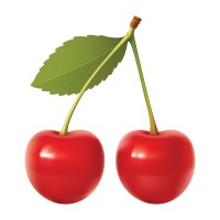 CherryTech Innovation logo - Similar company to Techworm